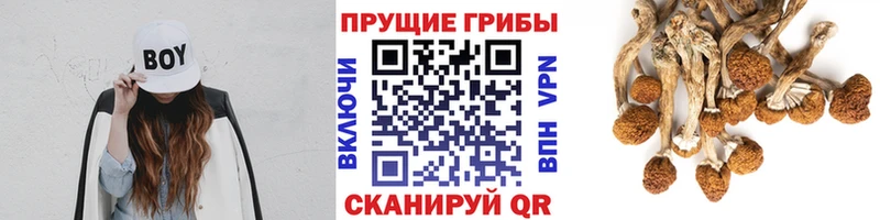 Псилоцибиновые грибы мухоморы  Приозерск 